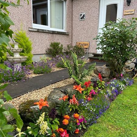 Treetops Bungalow Loch Ness Drumnadrochit Luaran gambar