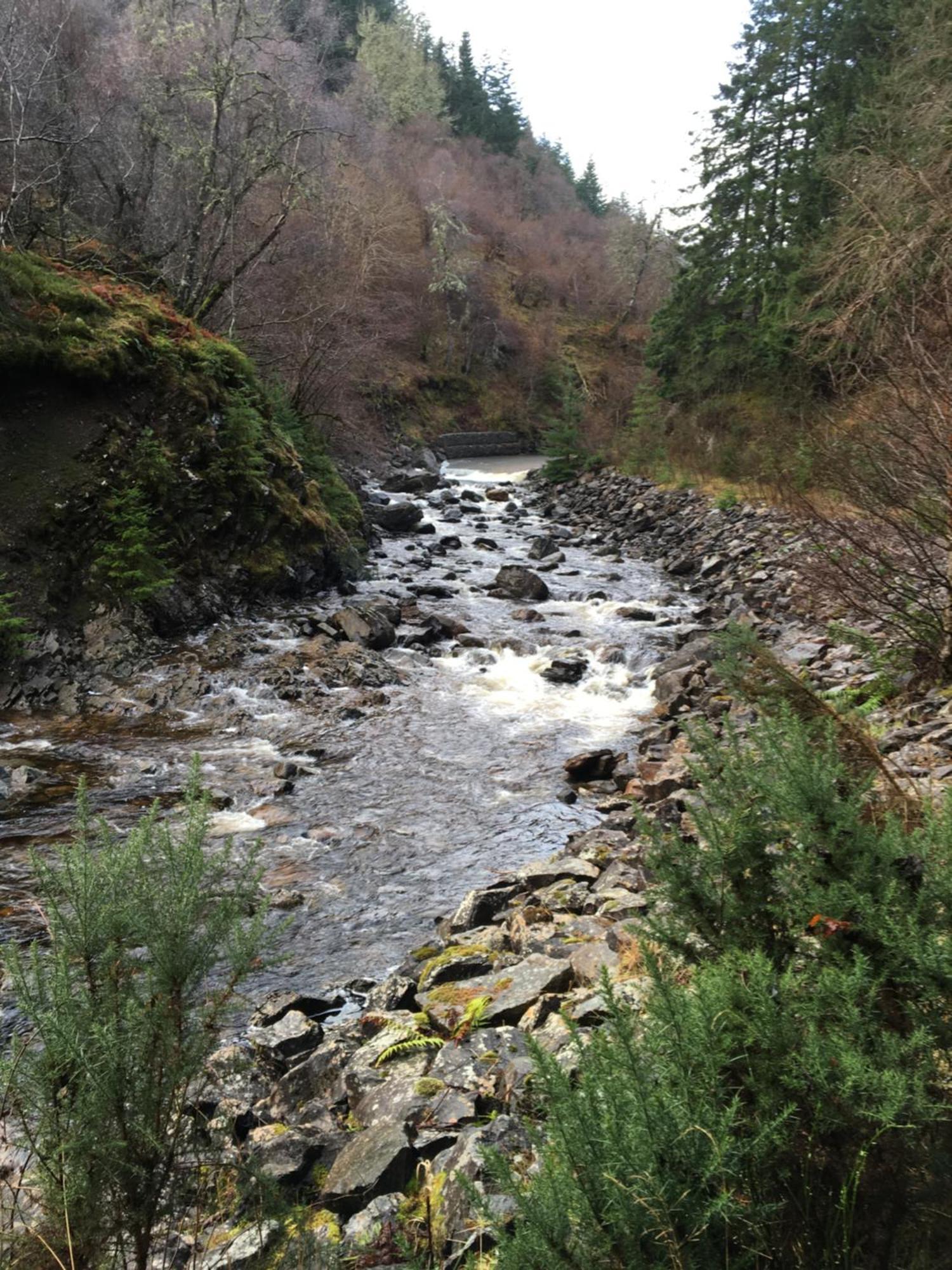 Treetops Bungalow Loch Ness Drumnadrochit Luaran gambar